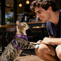 Dooradar cat harness and leash shown together as a set.