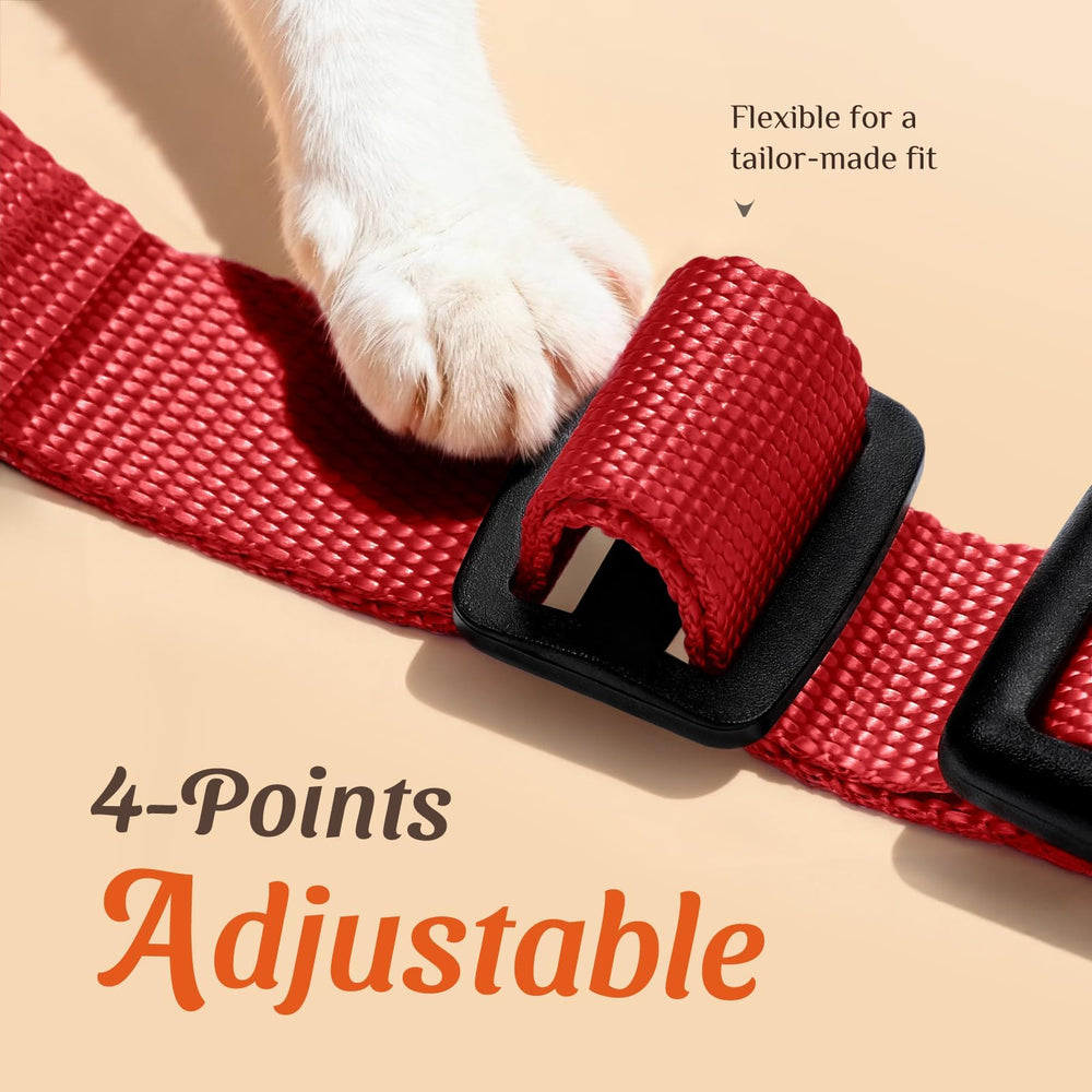 Dooradar cat harness close-up showing the back D-ring.