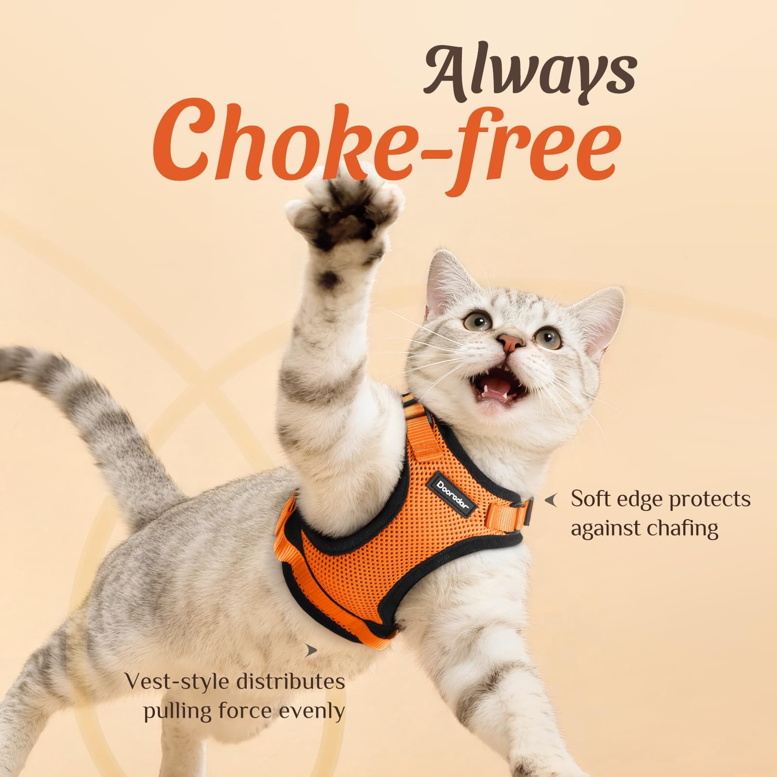 Dooradar cat harness showing the back D-ring leash attachment.