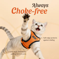 Dooradar cat harness showing the back D-ring leash attachment.