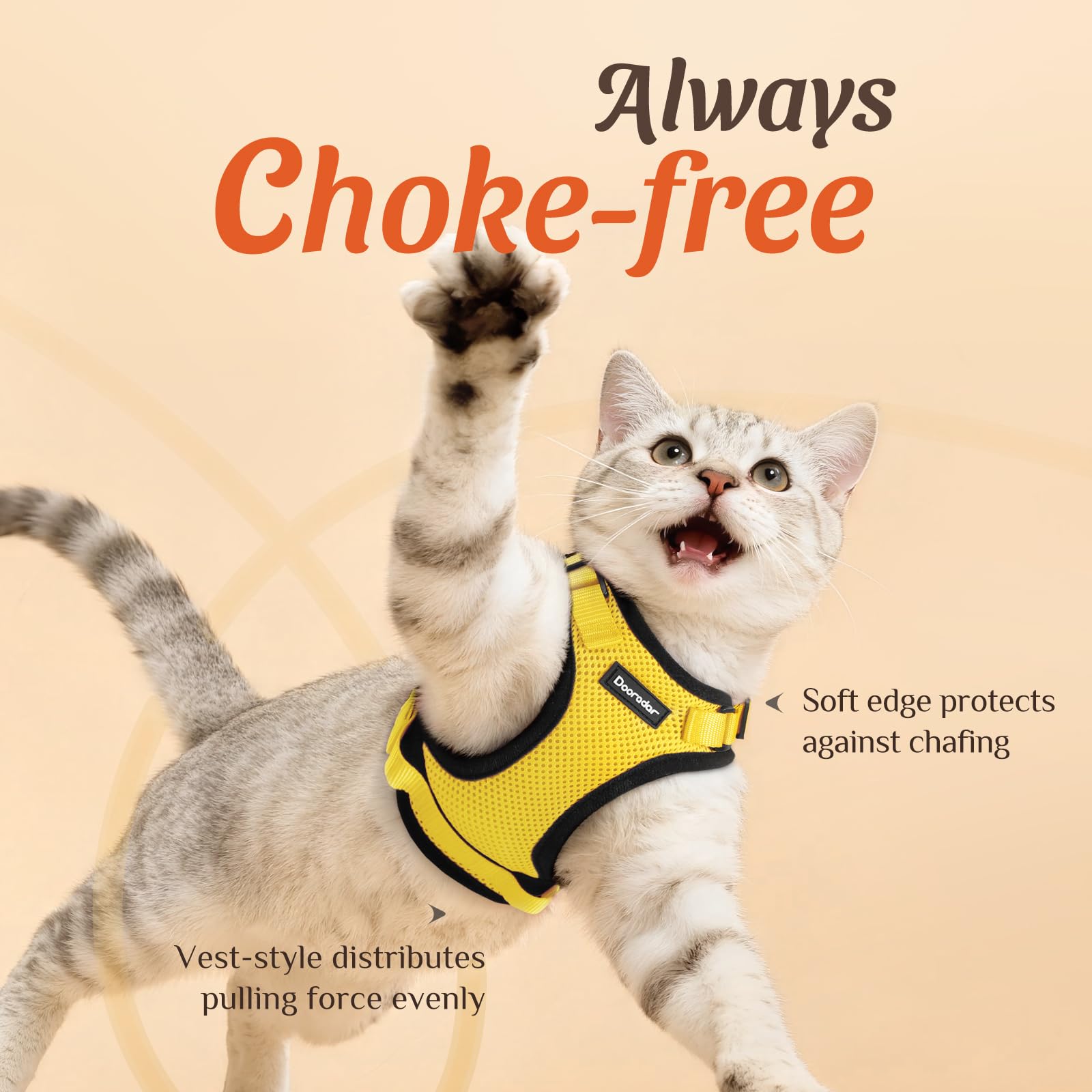 Dooradar cat harness back with its leash-anchoring D-ring.