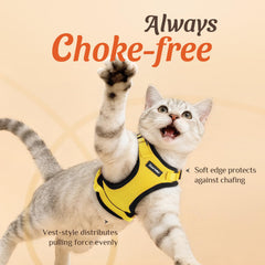 Dooradar cat harness back with its leash-anchoring D-ring.