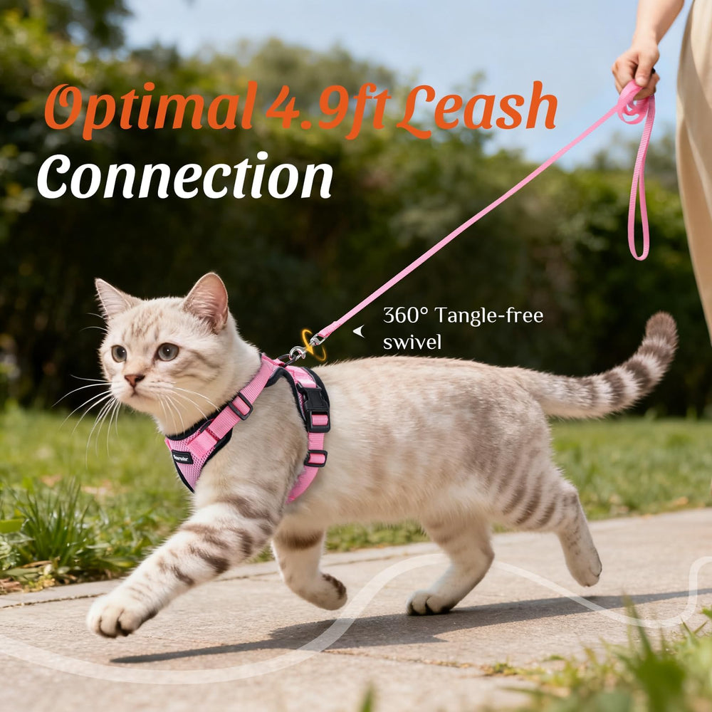 Dooradar cat harness shown fitted on a cat for an outdoor walk.