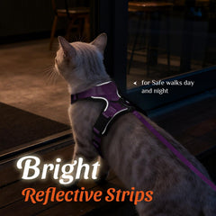 Dooradar cat harness chest buckles shown open for access.