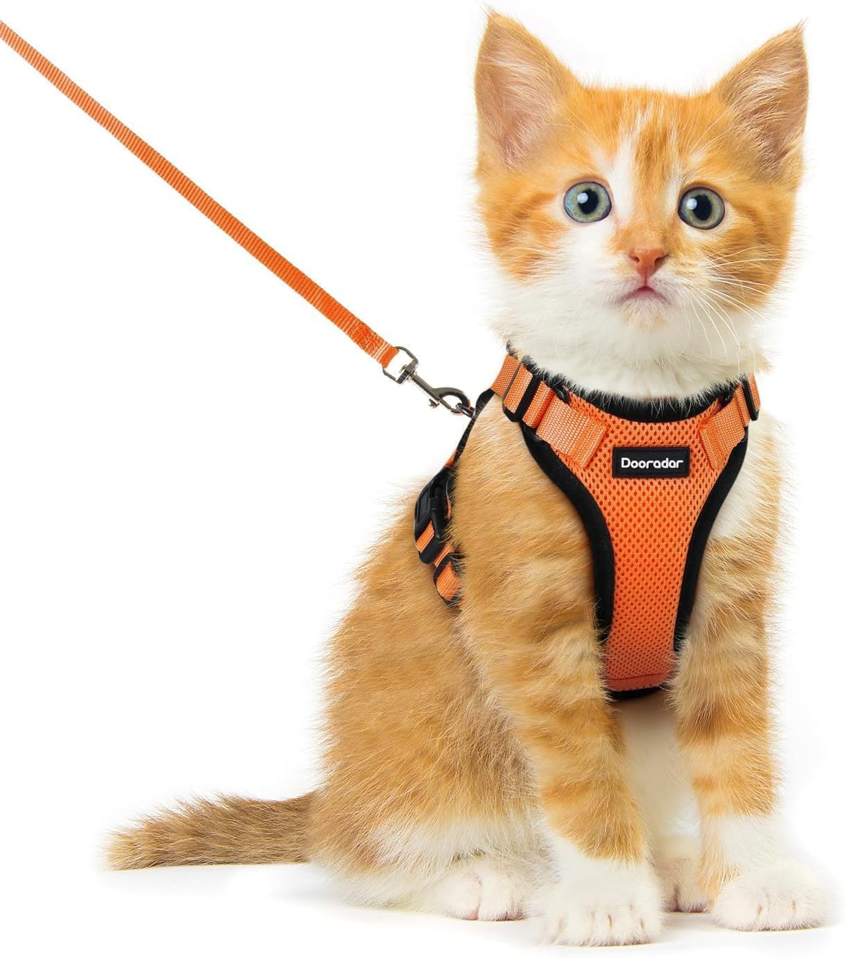 Dooradar cat harness shown from the front to display its XXS shape and overall design.