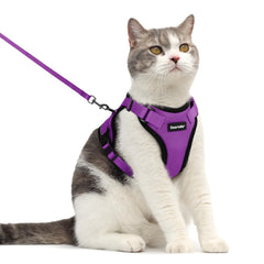Dooradar cat harness shown from the front.