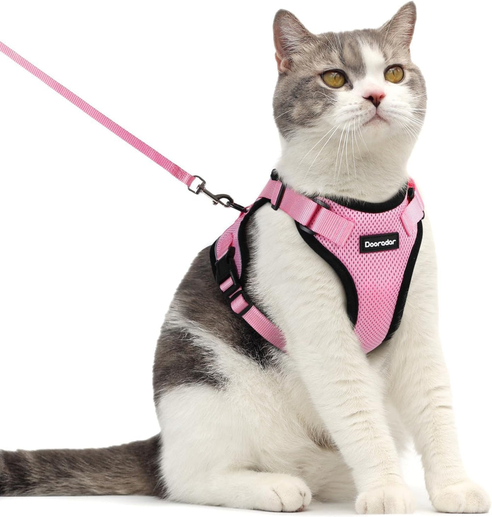 Dooradar cat harness and leash set shown from the front.