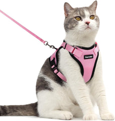 Dooradar cat harness and leash set shown from the front.