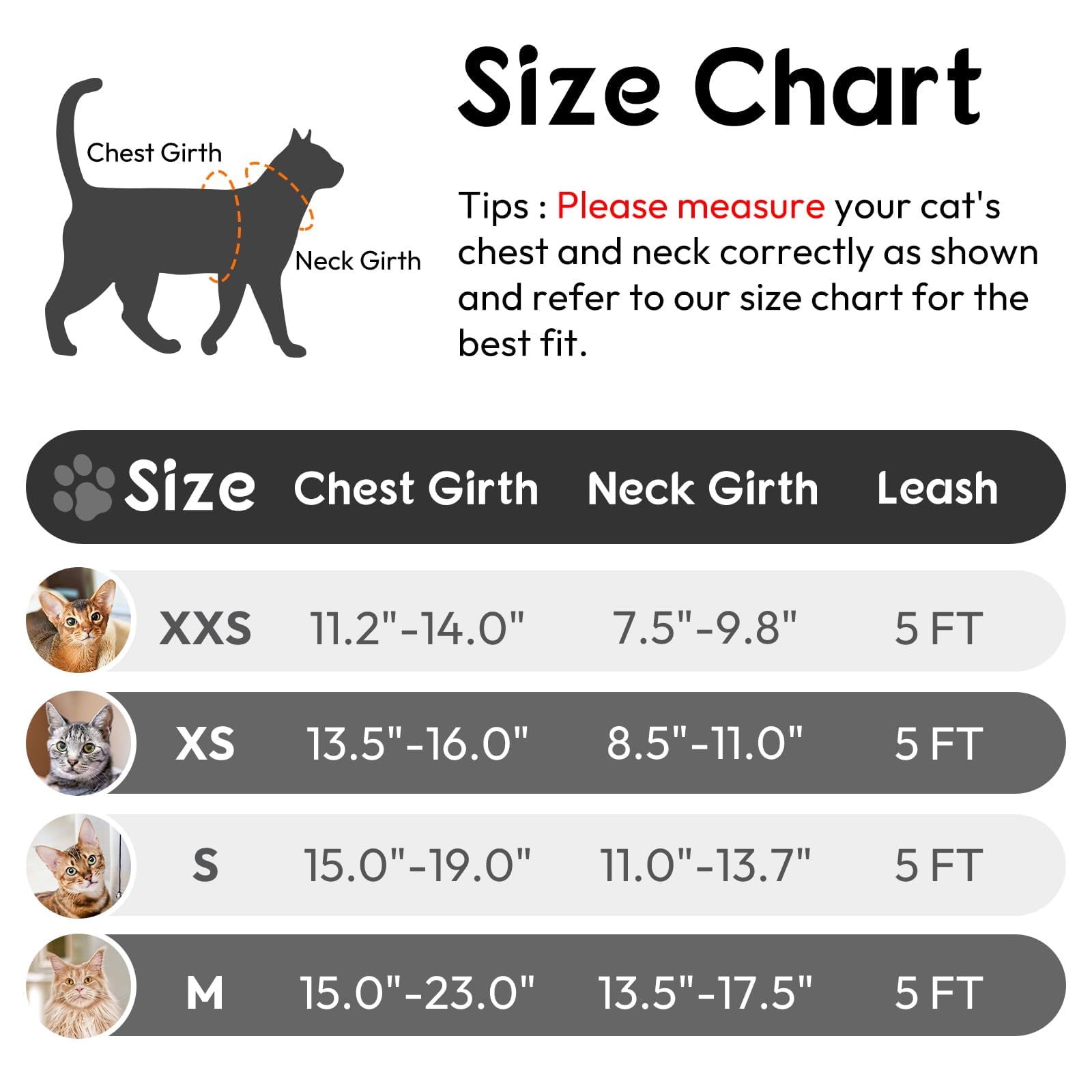 Dooradar cat harness showing the back D-ring leash attachment.