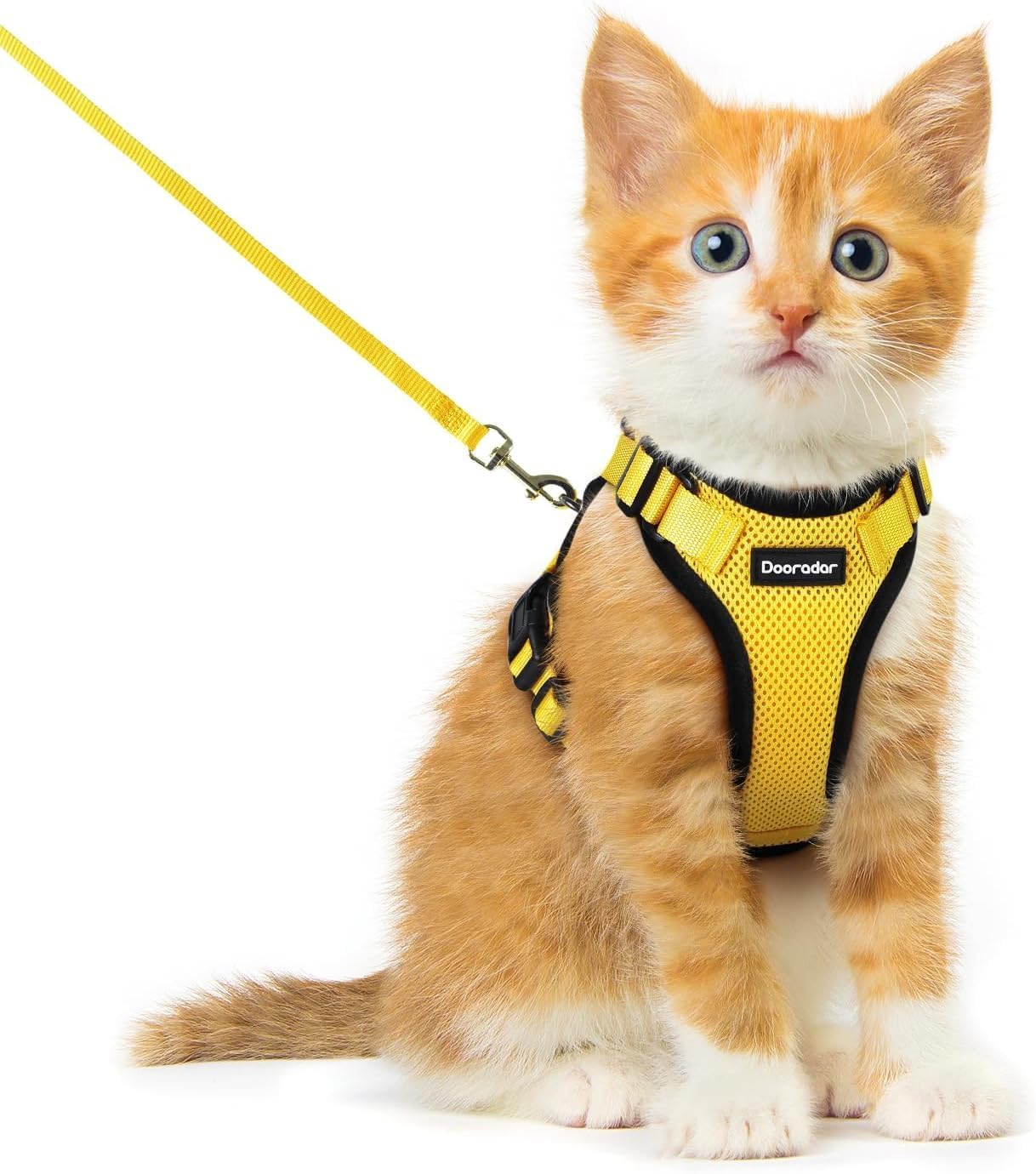 Dooradar cat harness and leash set shown from the front.