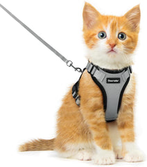 Dooradar Cat Harness and Leash Set shown from the front.