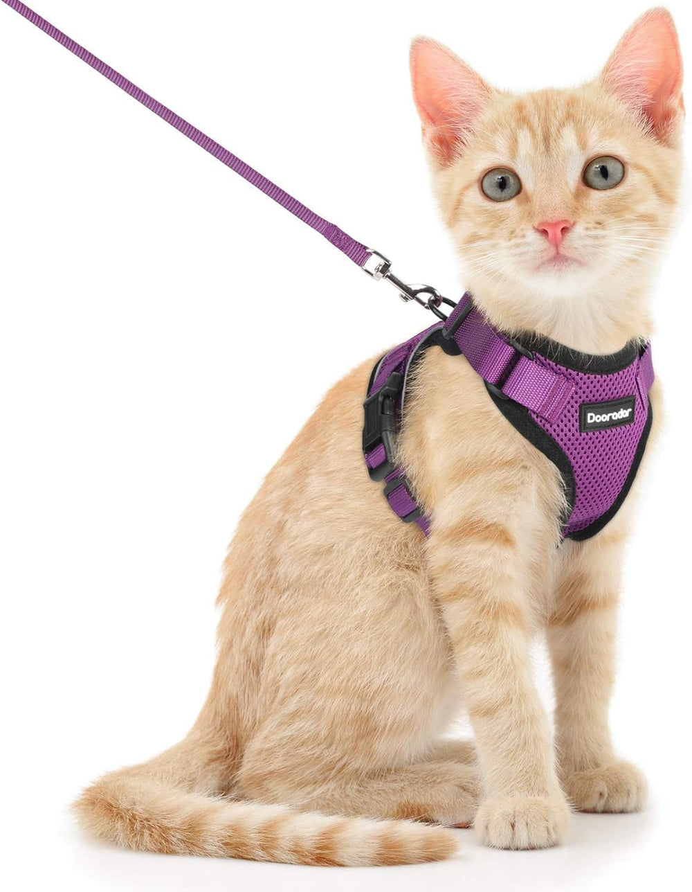 Dooradar cat harness and leash set shown from the front.