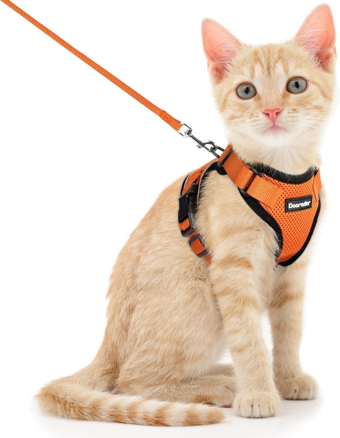 Dooradar cat harness and leash set shown from the front.