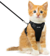 Dooradar cat harness and leash set shown from the front.