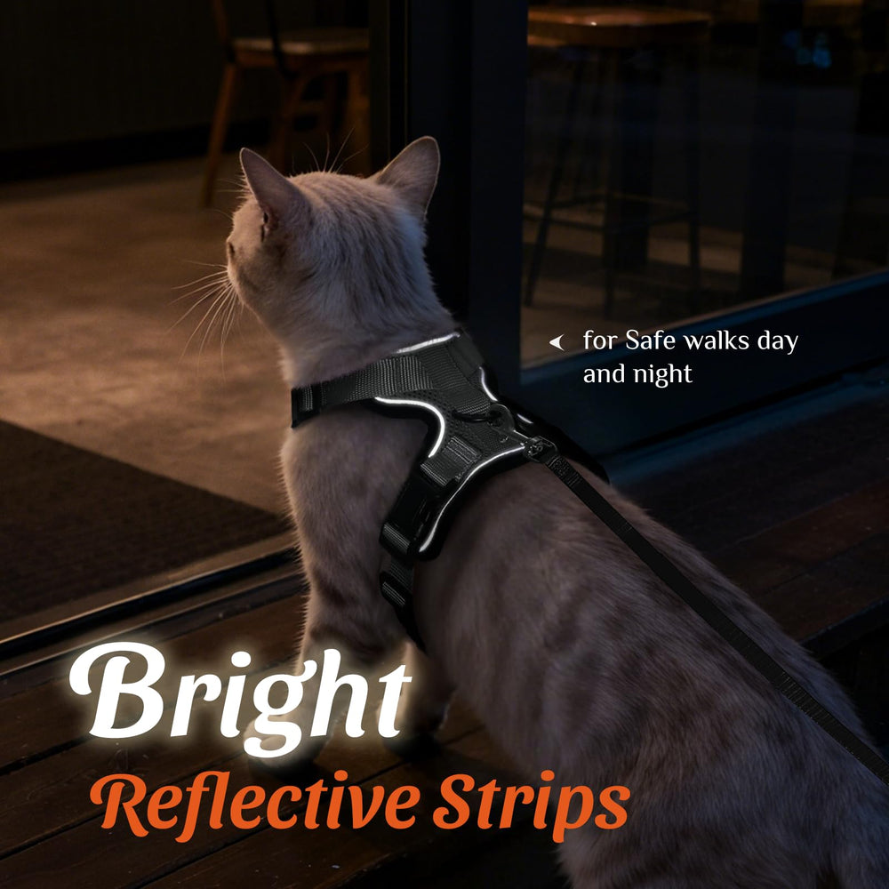 Dooradar Cat Harness and Leash Set showing adjustable neck snaps.