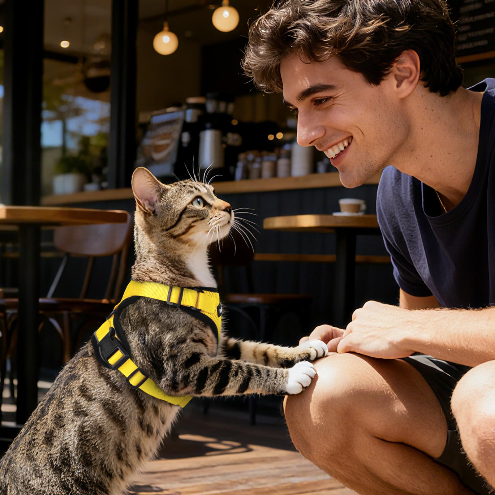 Dooradar cat harness and leash set shown together.