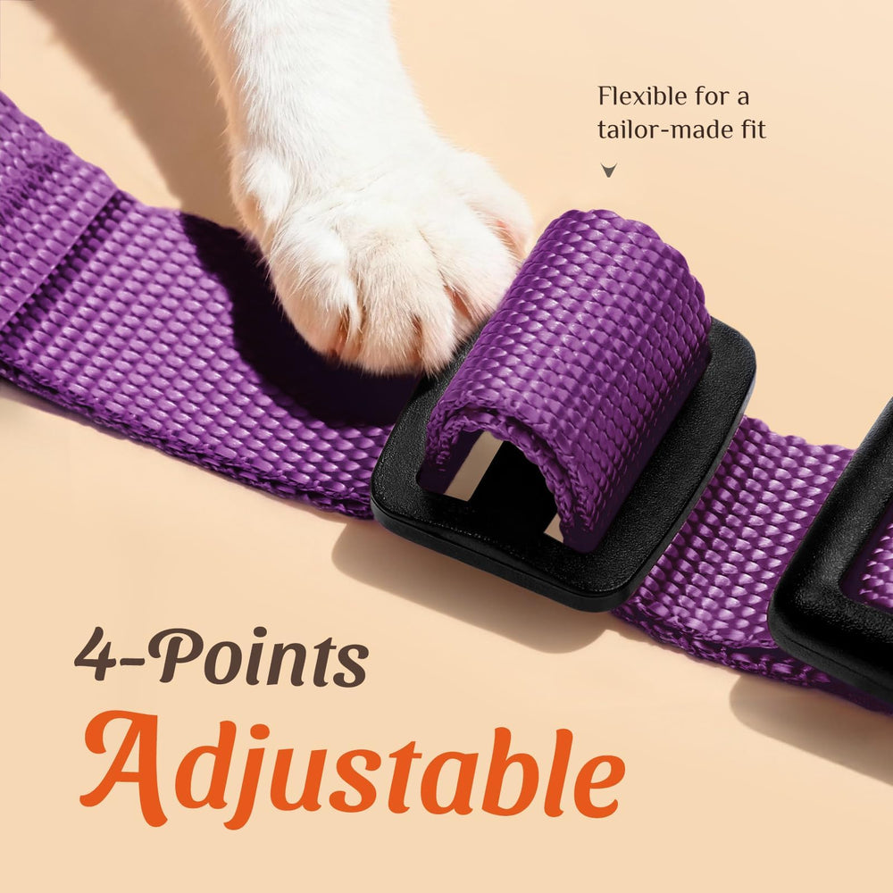 Dooradar cat harness close-up showing breathable mesh and padding.