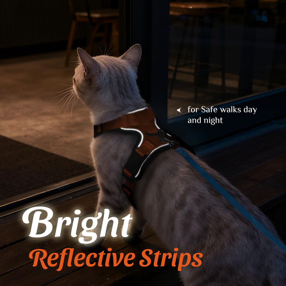 Dooradar cat harness detail showing breathable mesh, foam padding, and soft edges.