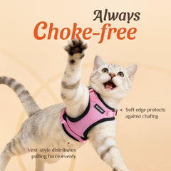 Dooradar cat harness close-up showing breathable mesh and foam padding.