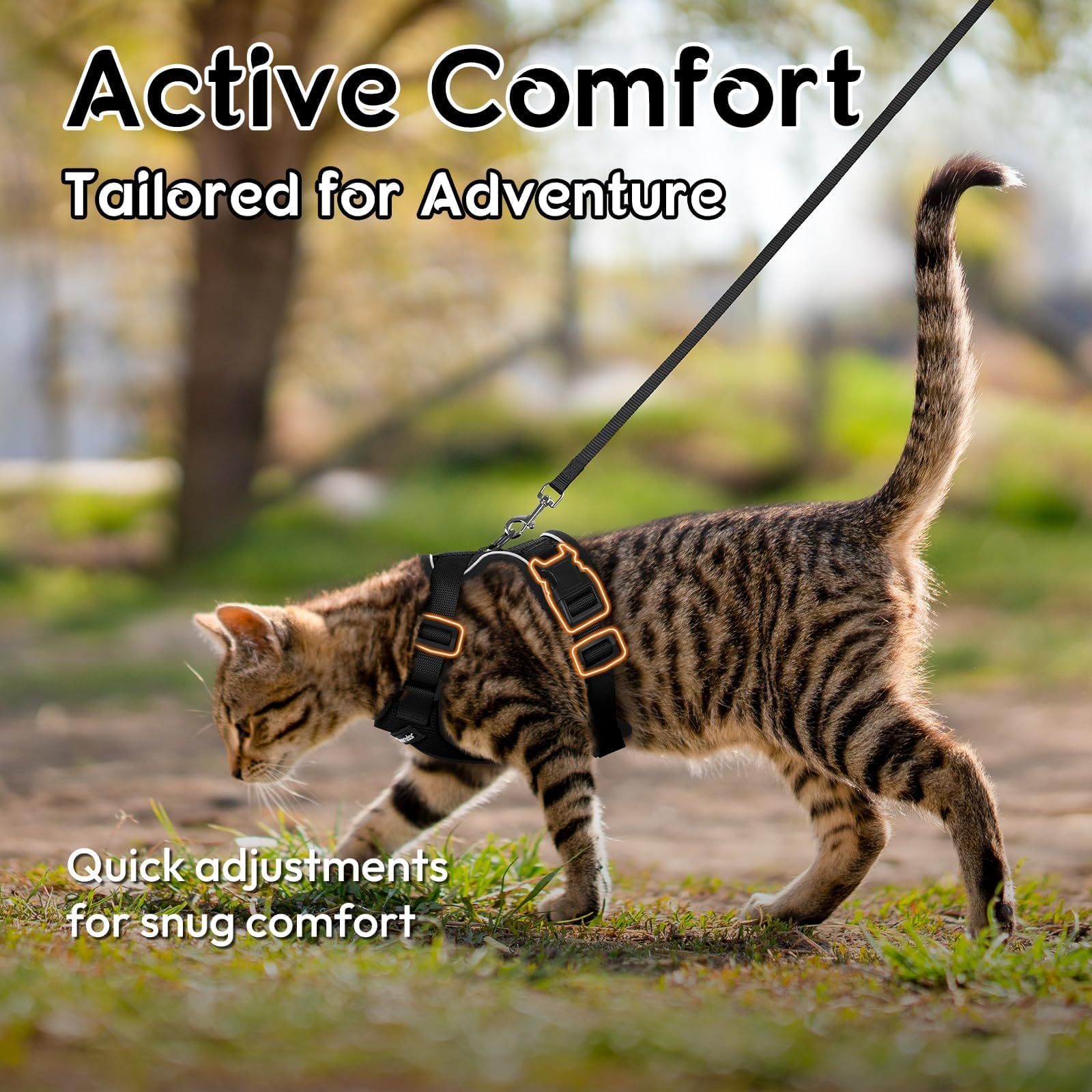 Dooradar cat harness with its chest quick-release buckles visible.