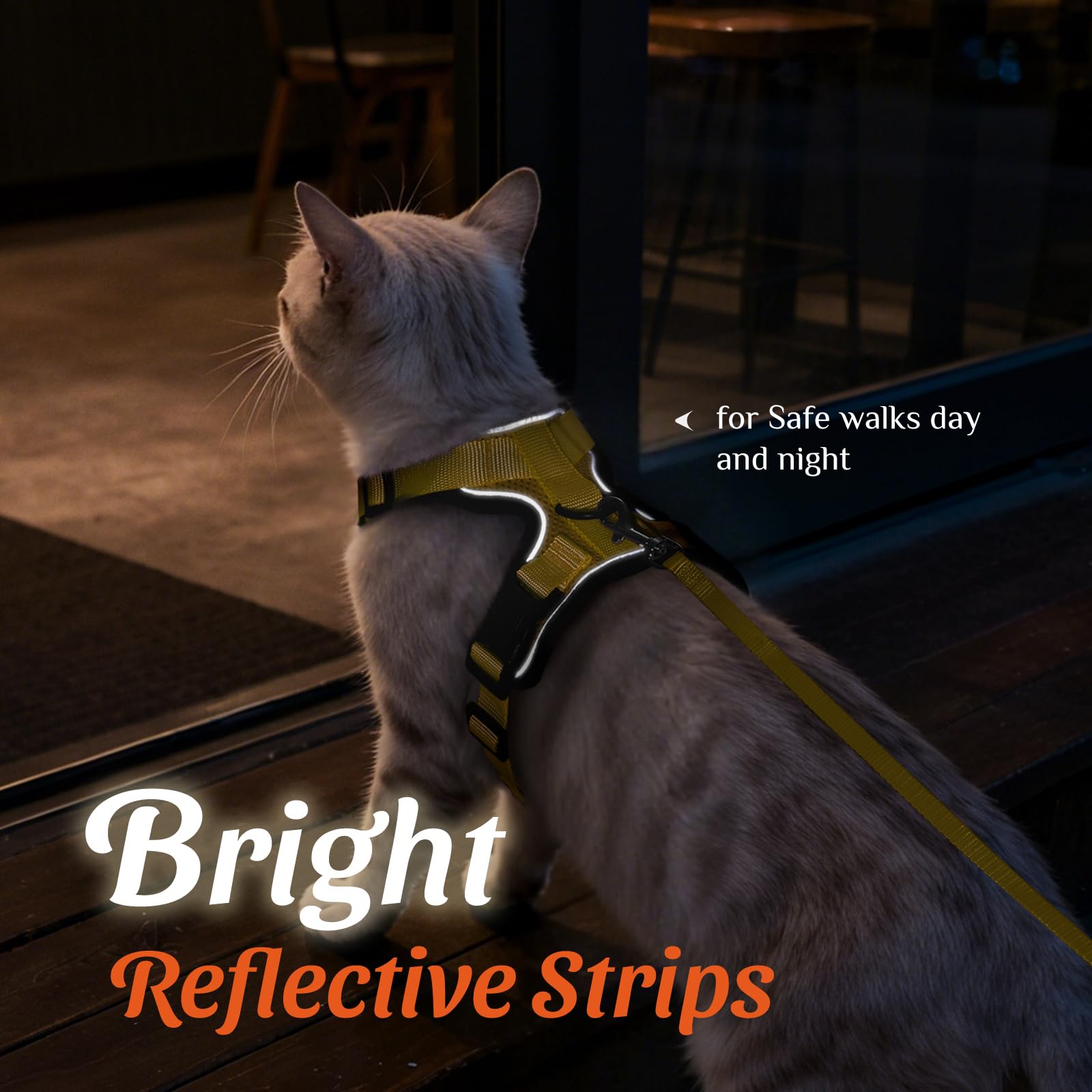 Dooradar cat harness chest quick-release buckles.