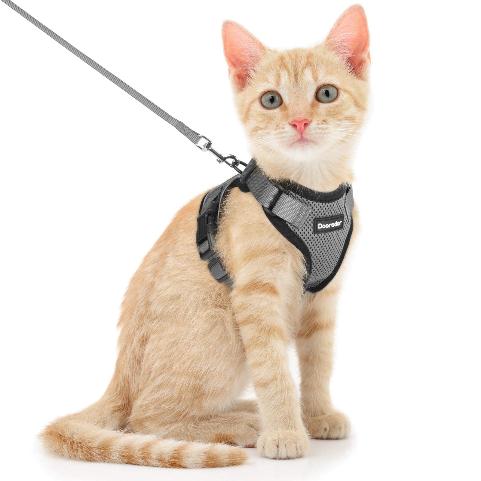 Dooradar cat harness and leash set shown from the front.