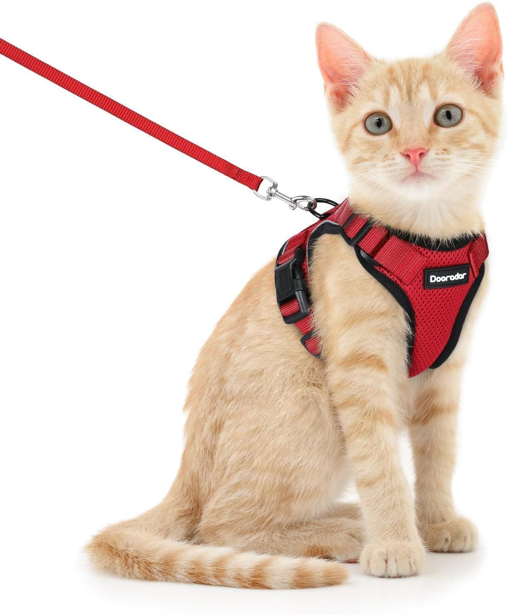 Dooradar cat harness and leash set shown from the front.