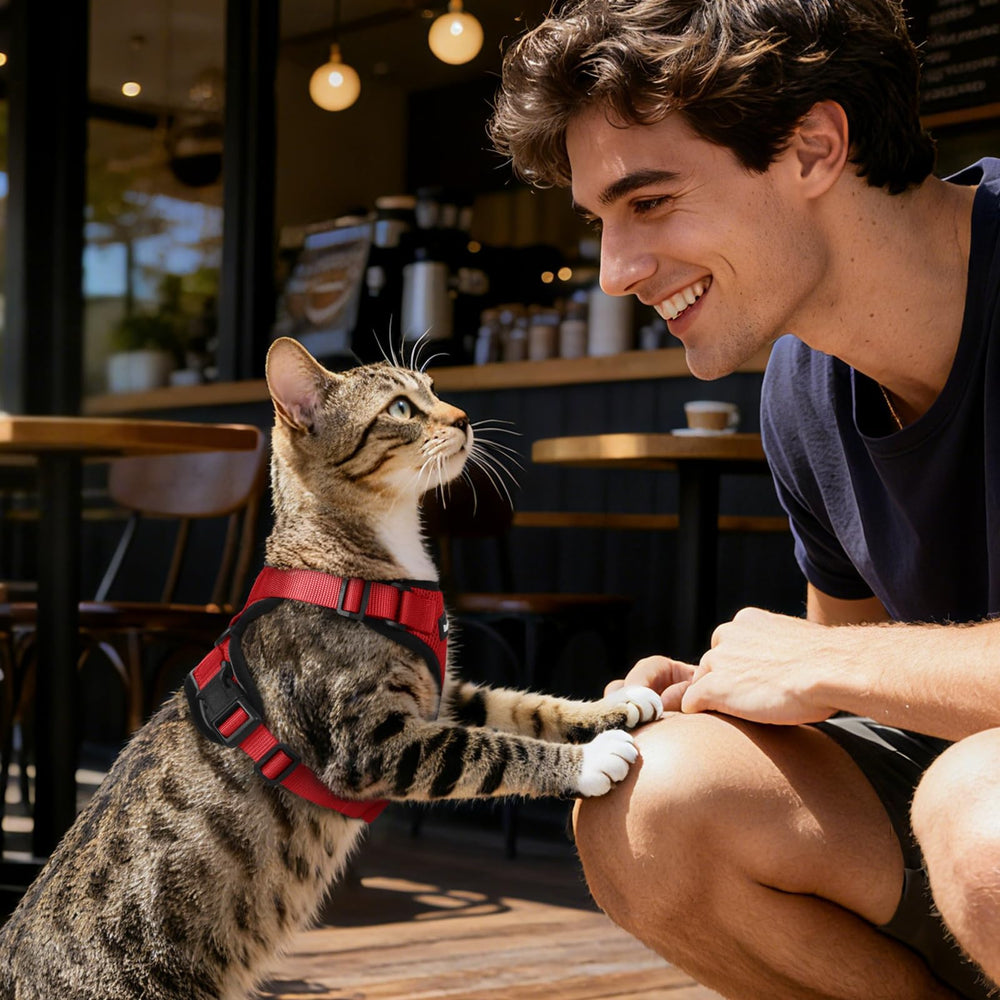 Dooradar cat harness and leash set shown in use outdoors.