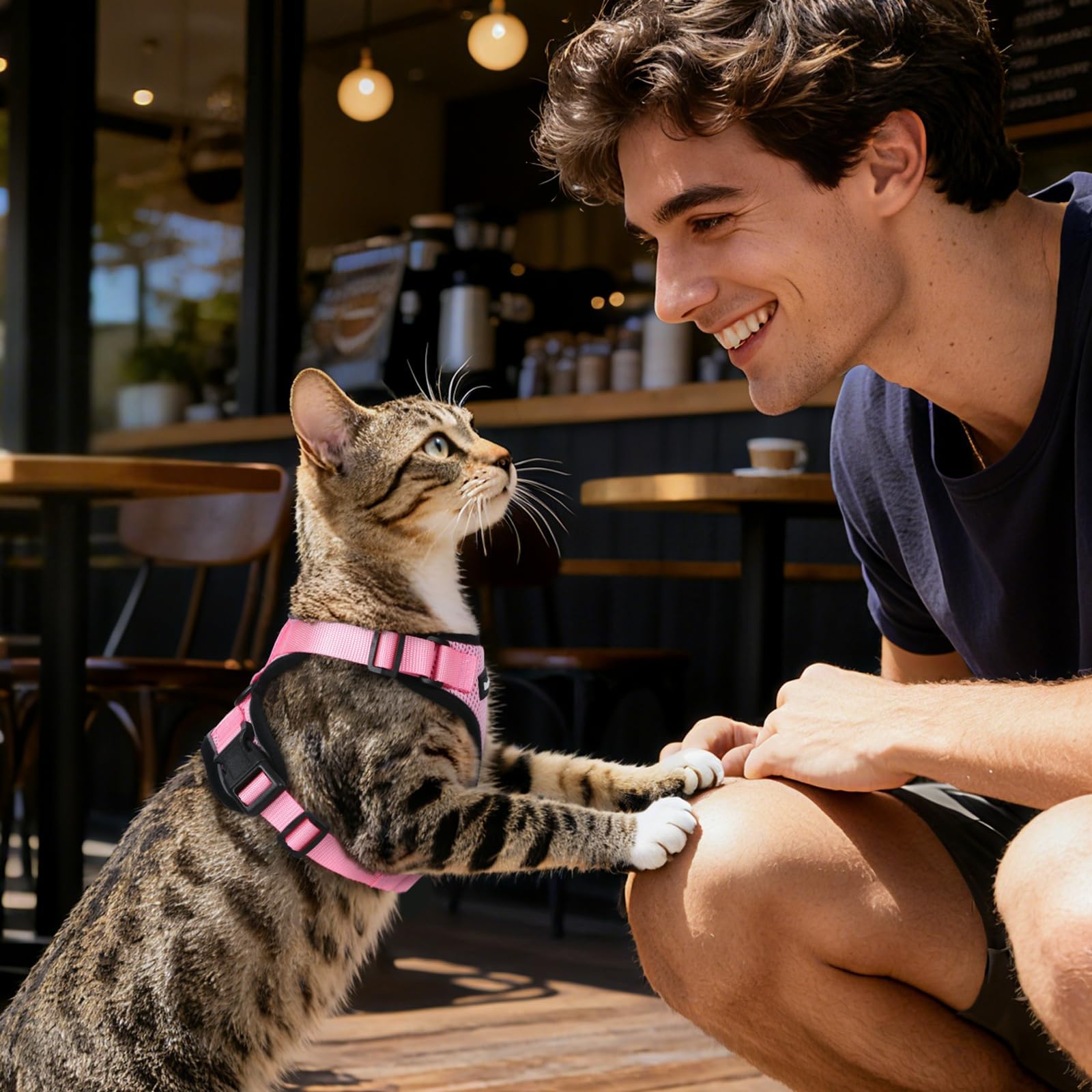 Dooradar cat harness size reference showing neck and chest fit ranges.