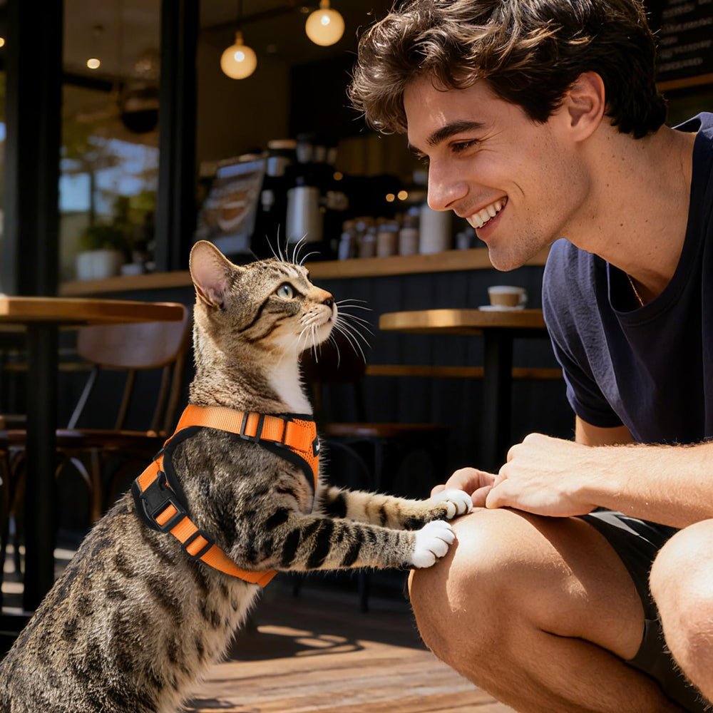 Dooradar cat harness size reference showing the size S fit ranges.