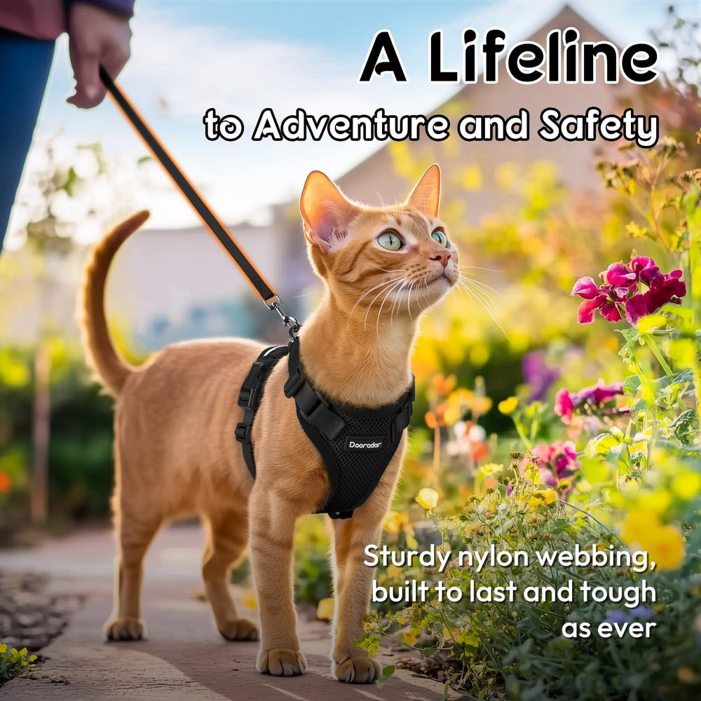 Dooradar cat harness fitted on a cat for an outdoor walk.