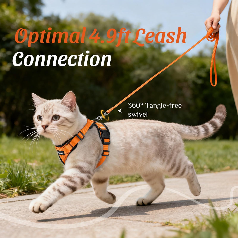 Dooradar cat harness and leash set shown on a cat outdoors.