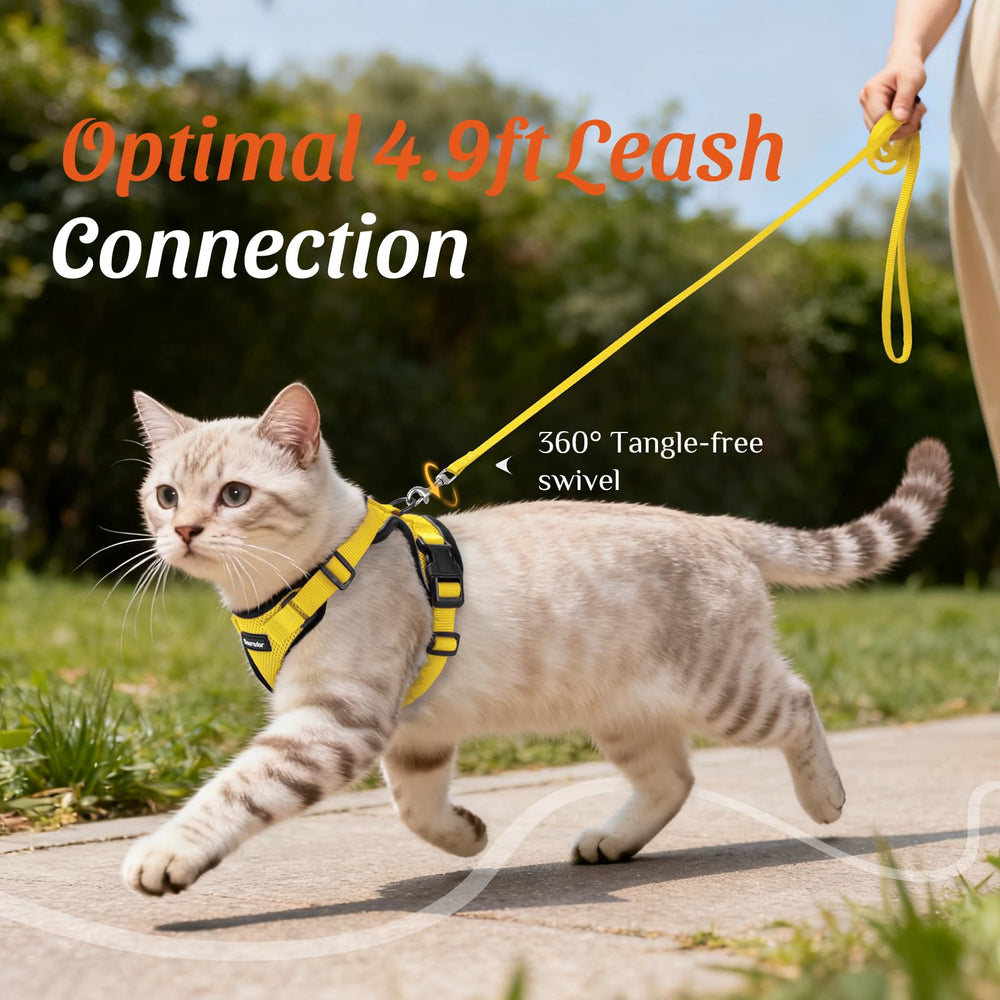 Dooradar cat leash with its 360-degree rotating clip.