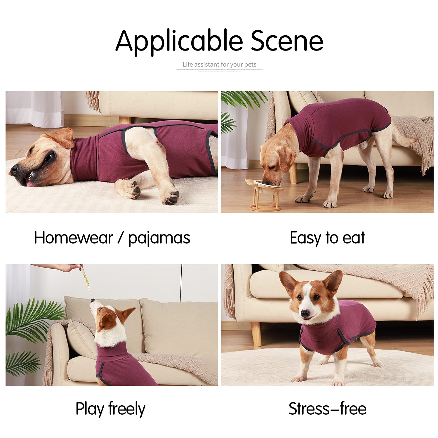 Dotoner dog sweater pullover shown with its elastic band in focus.