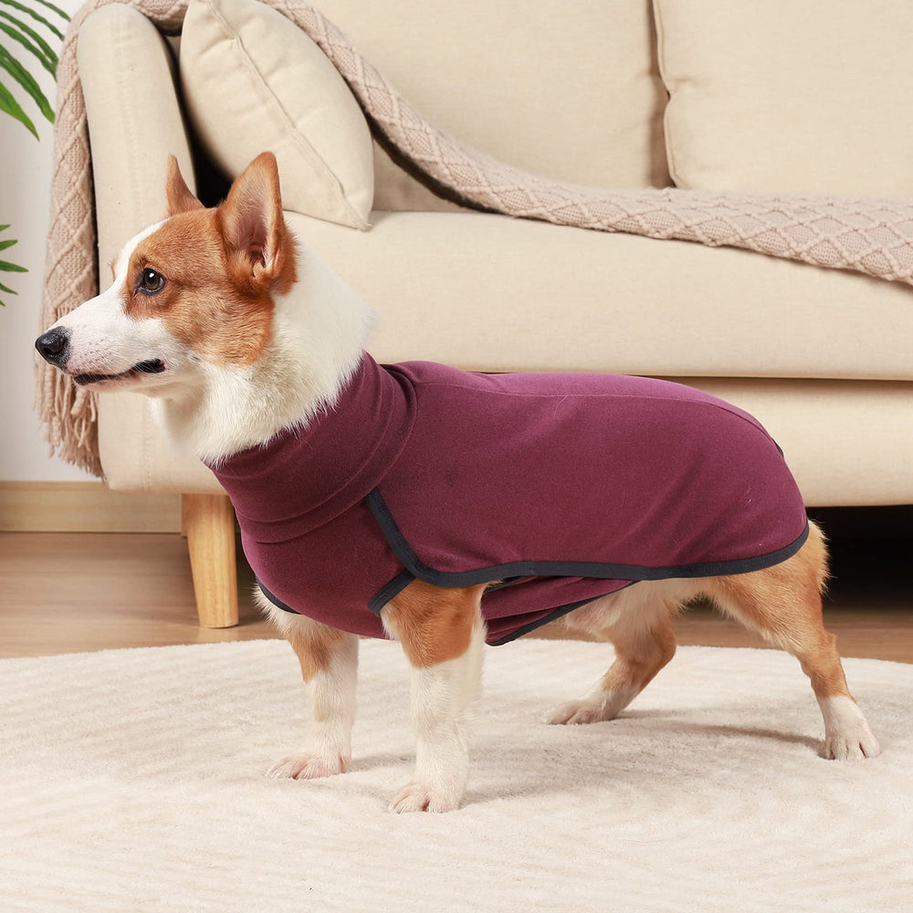 Dotoner dog sweater pullover shown layered under a jacket.