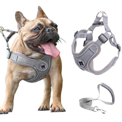 D.QingPei dog harness and leash set shown from the front in grey.