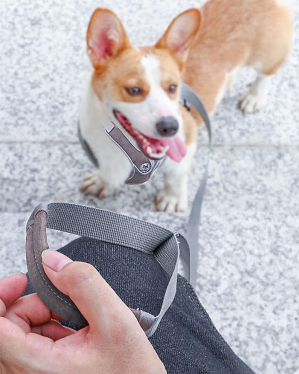 D.QingPei dog harness set with the matching leash and padded handle.