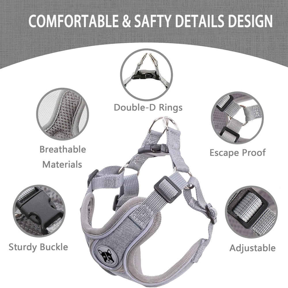 D.QingPei dog harness detail highlighting the reflective trim.