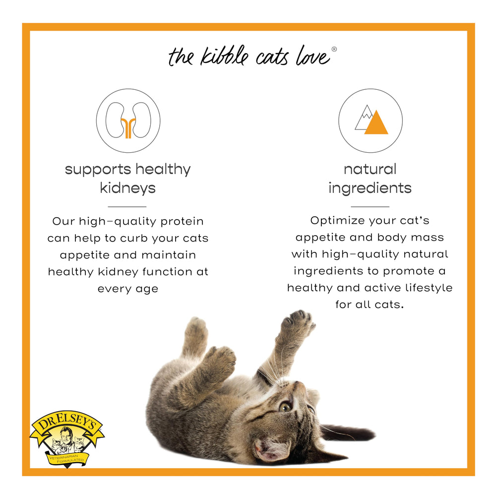 Dr. Elsey's cleanprotein Turkey cat kibble protein information on the package.