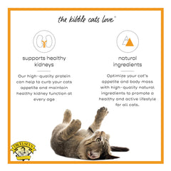 Dr. Elsey's cleanprotein Turkey cat kibble protein information on the package.