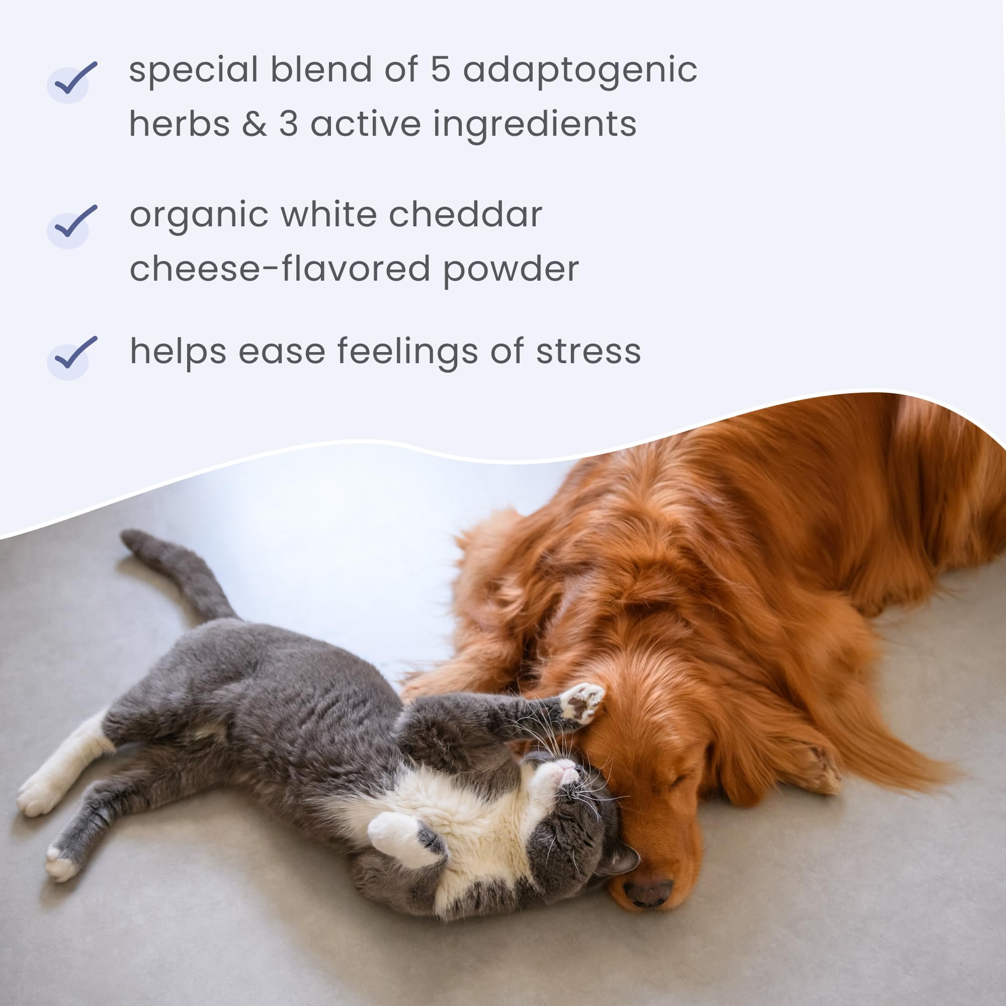 Dr. Mercola Bark & Whiskers Stress Support supplement shown in a close-up view.