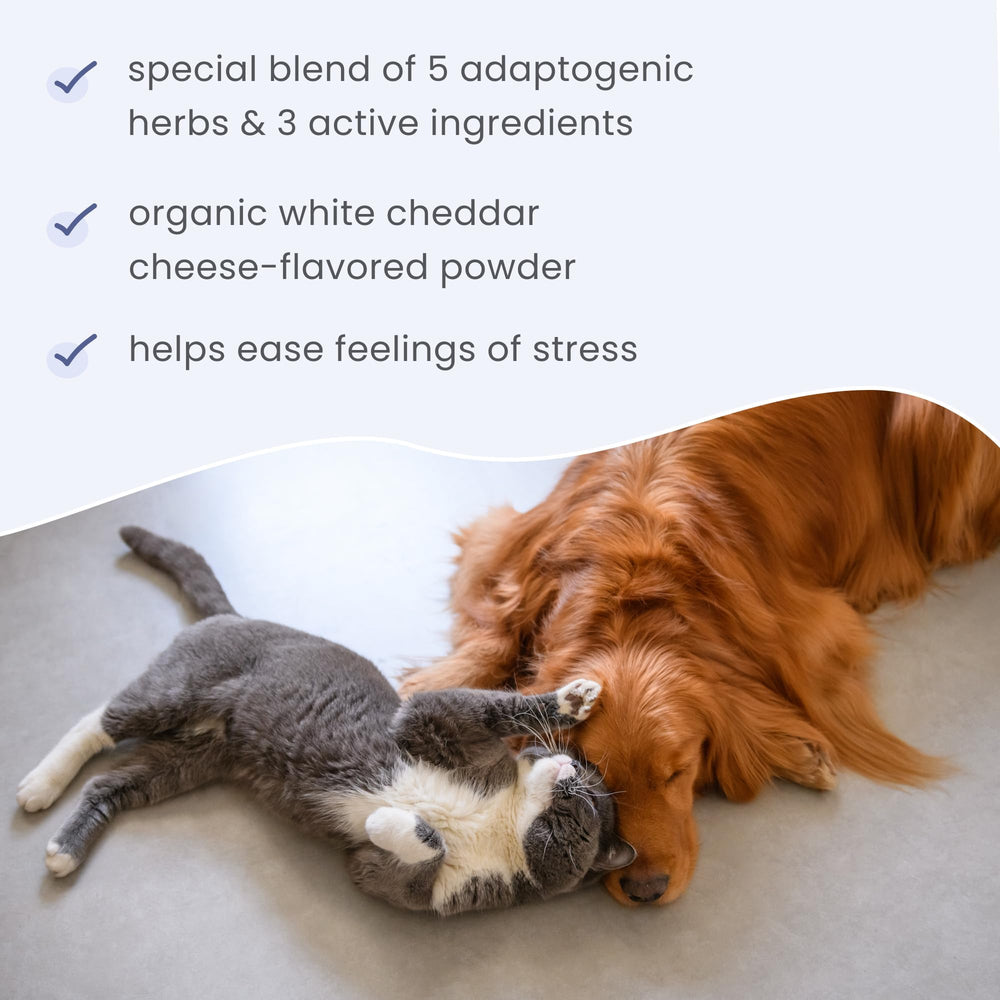 Dr. Mercola Bark & Whiskers Stress Support supplement shown in a close-up view.
