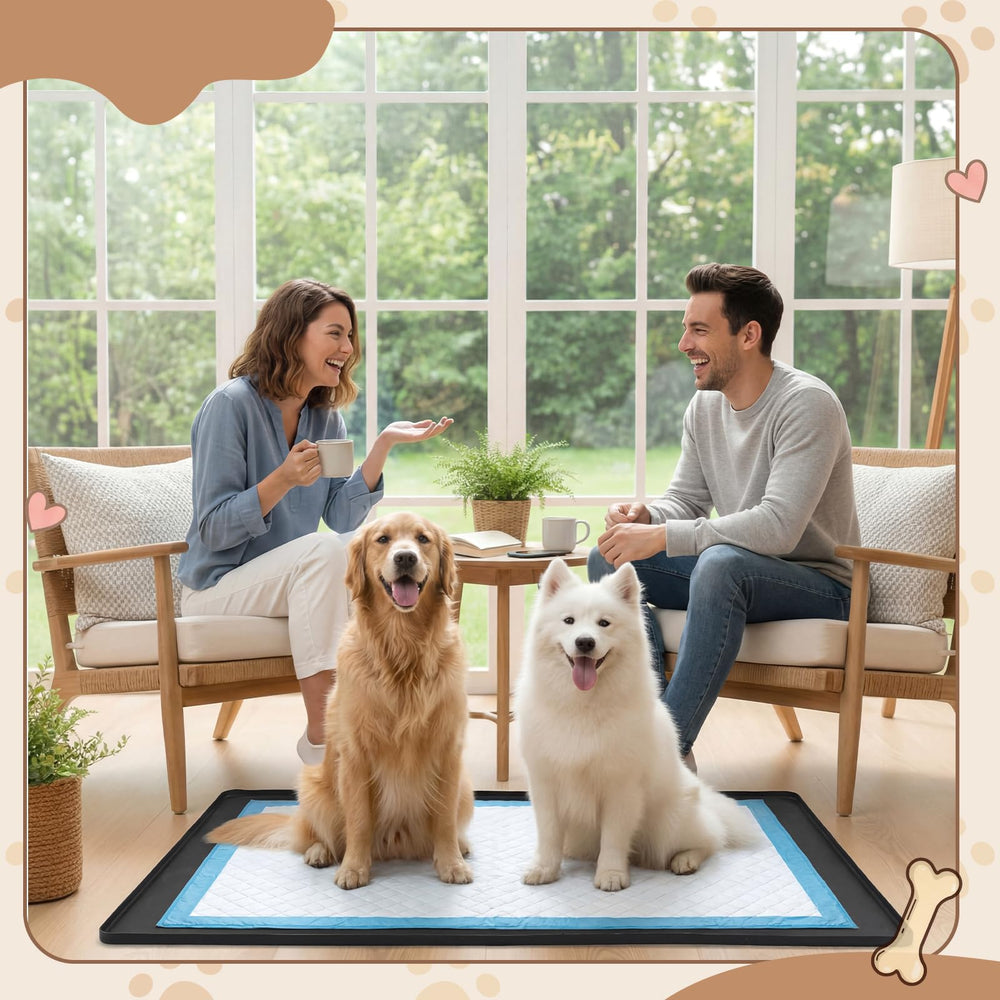 Dunzy pee pad holder tray placed on an indoor floor.