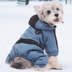 Duuclume dog coat shown on a dog, with its four-leg design and adjustable fit.