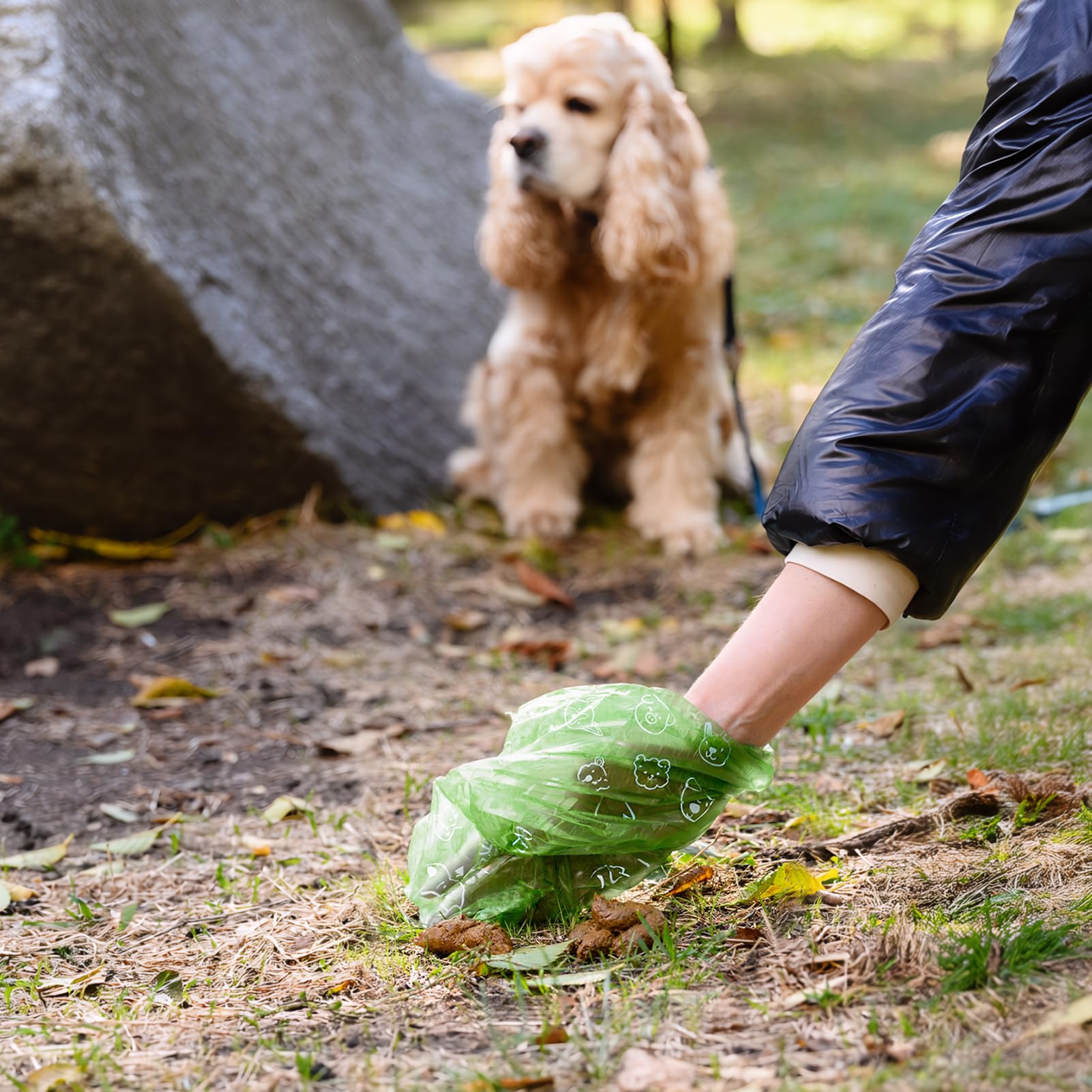 Dyforce dog poop bag used to collect waste during a dog walk.