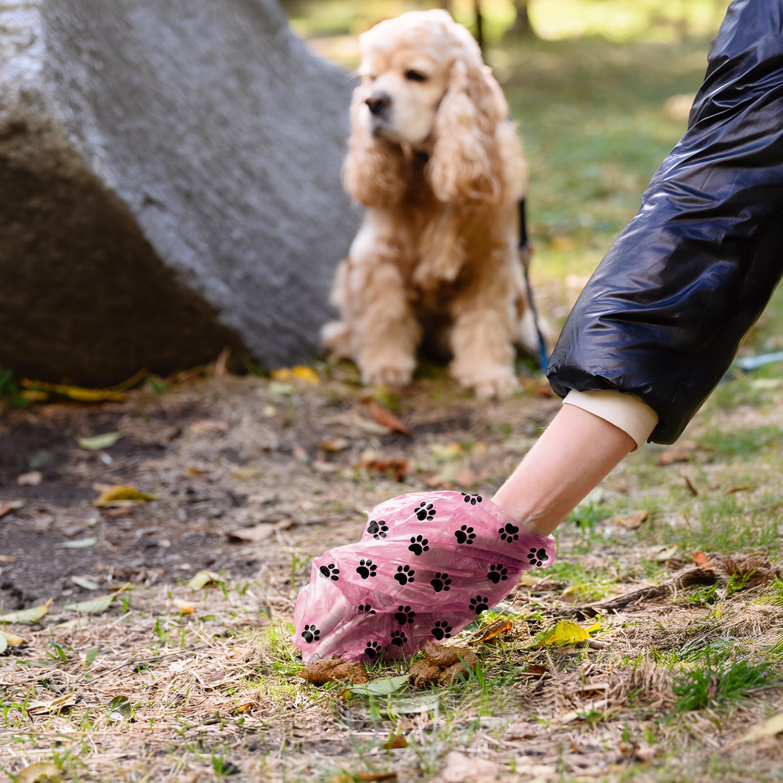 Dyforce dog poop bags dispenser shown attached to a leash by its loop.