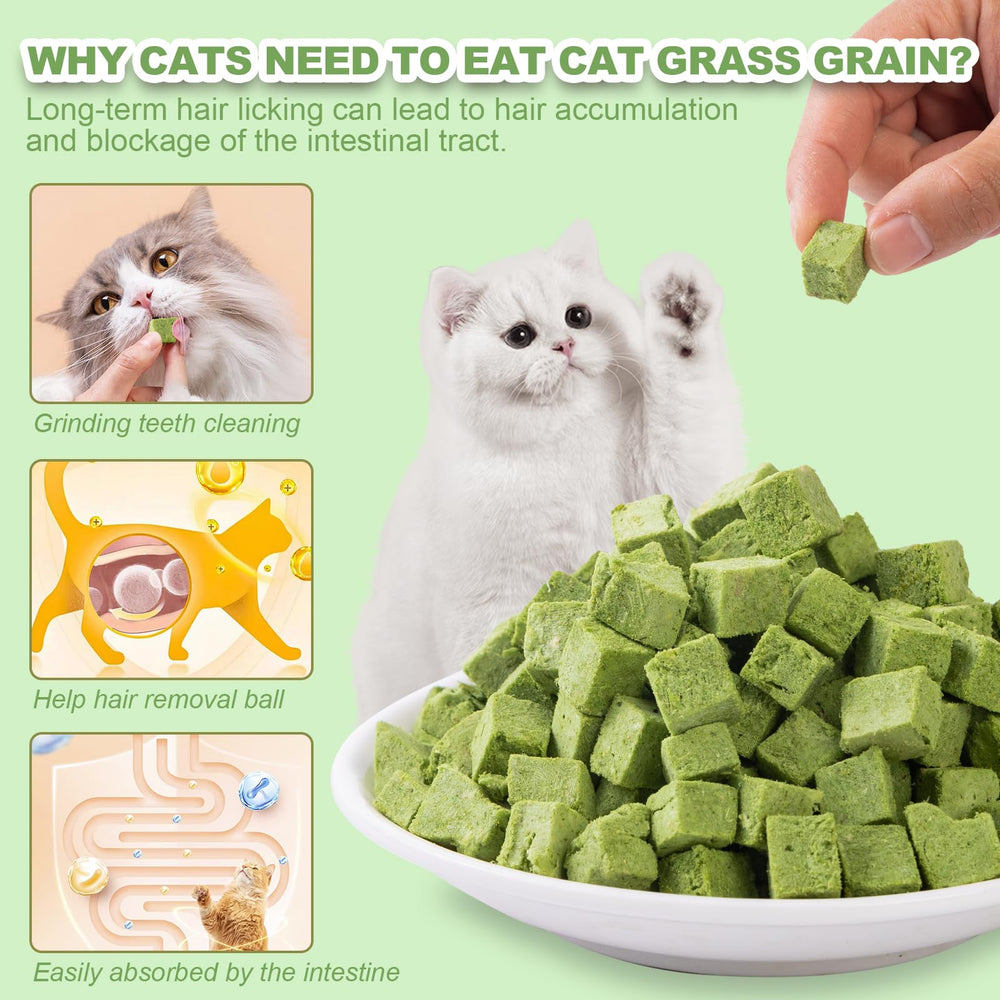 Dylan's cabin Cat Grass Teething Cubes with cat grass and chicken ingredients highlighted.