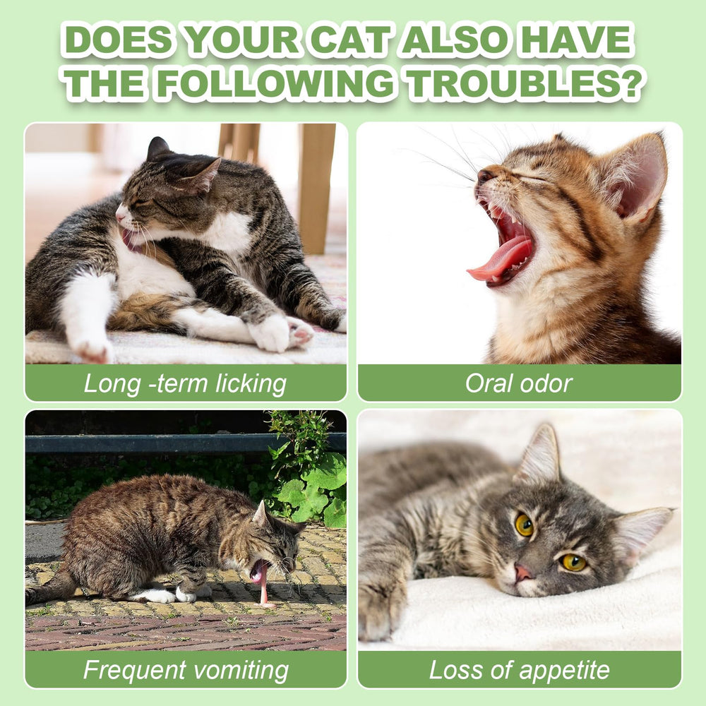 Dylan's cabin Cat Grass Teething Cubes packaging label shown clearly.