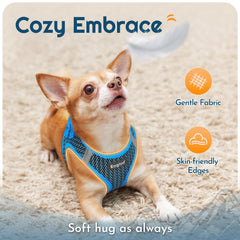 Eagloo small dog harness with its buckle and dual D-rings visible.