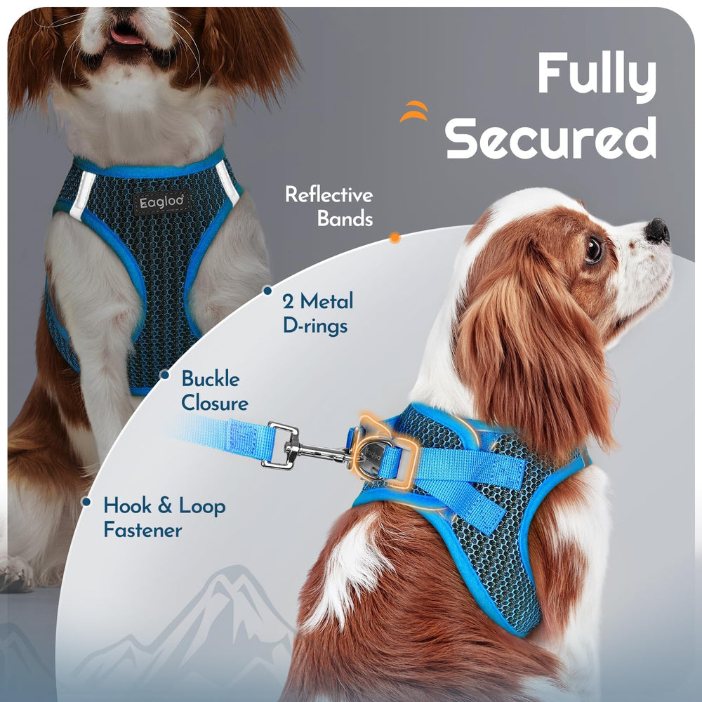 Eagloo harness and leash clip shown with the anti-tangle connector.